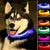 Nylon LED Pet dog Collar,Night Safety Flashing Glow In The Dark Dog Leash